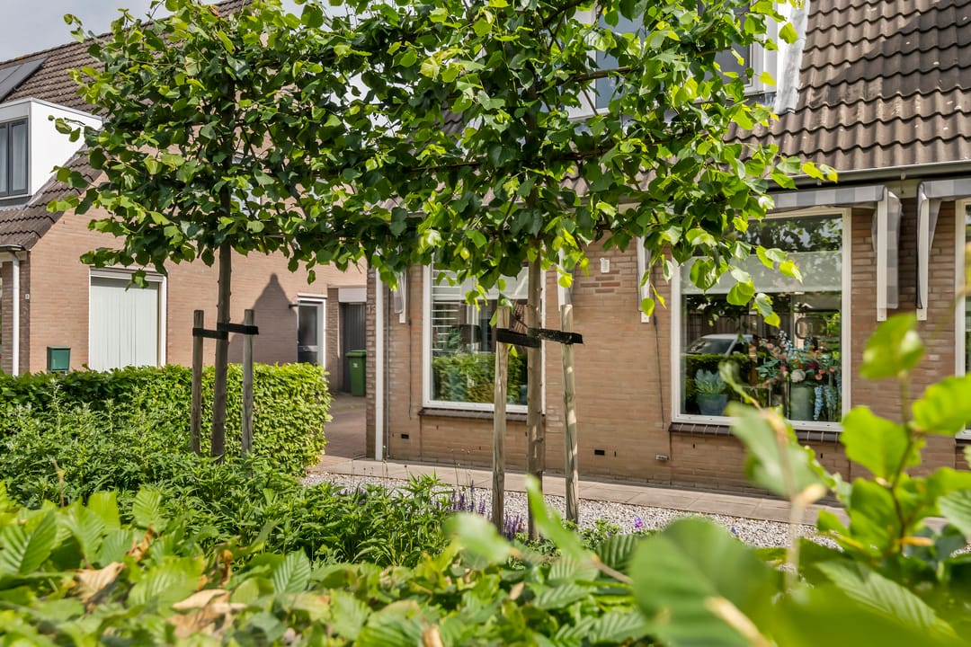 Foto 8 van Zoete Kroon 13