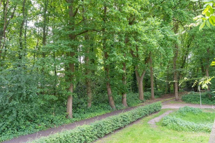 Photo 41 of Groot Horloo 30