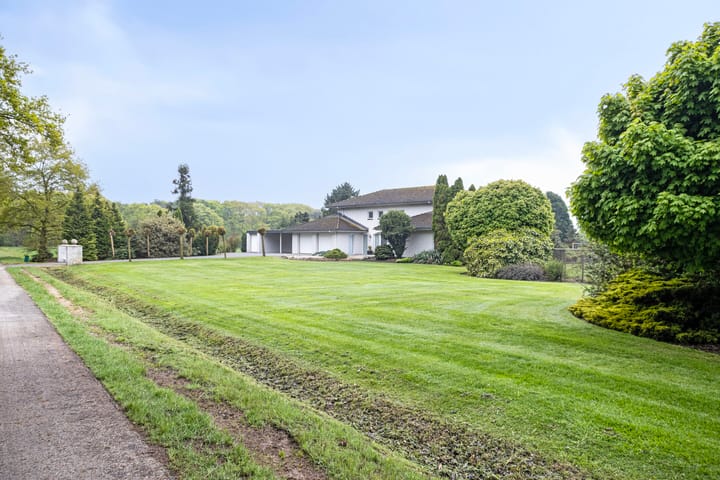 Photo 48 of Nistelrodesedijk 7