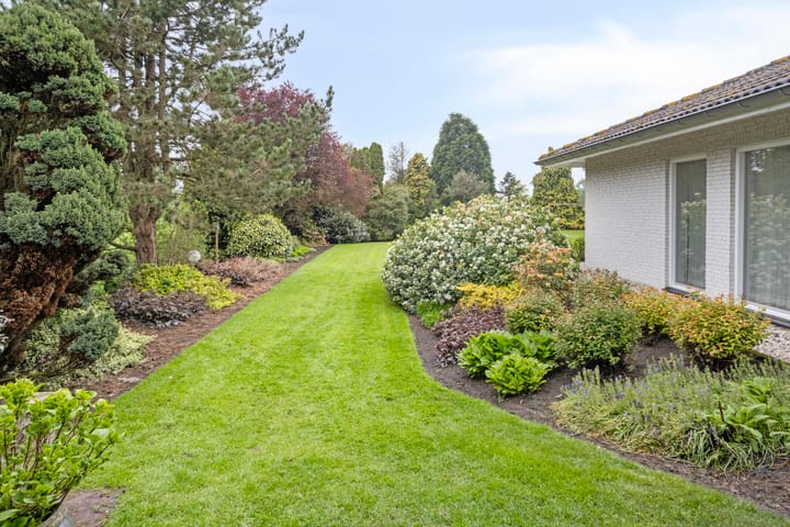 Photo 53 of Nistelrodesedijk 7