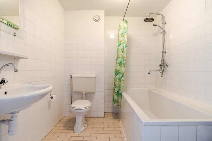 Foto 5 van Galjoen 36