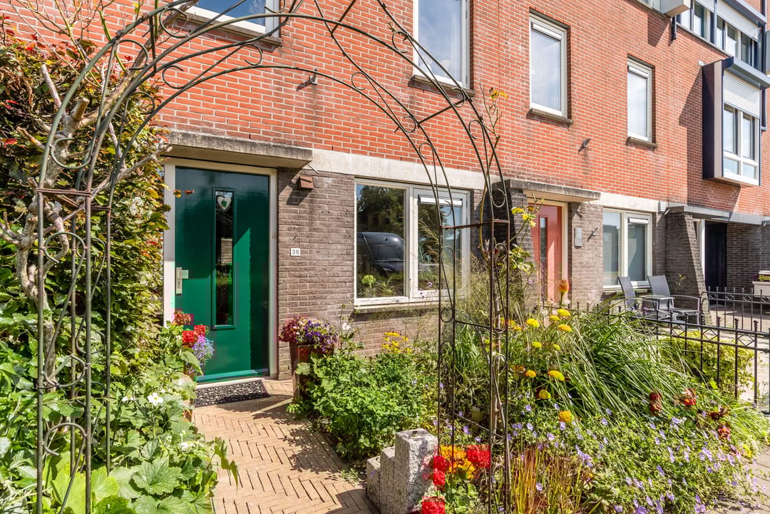 Foto 8 van Galjoen 36