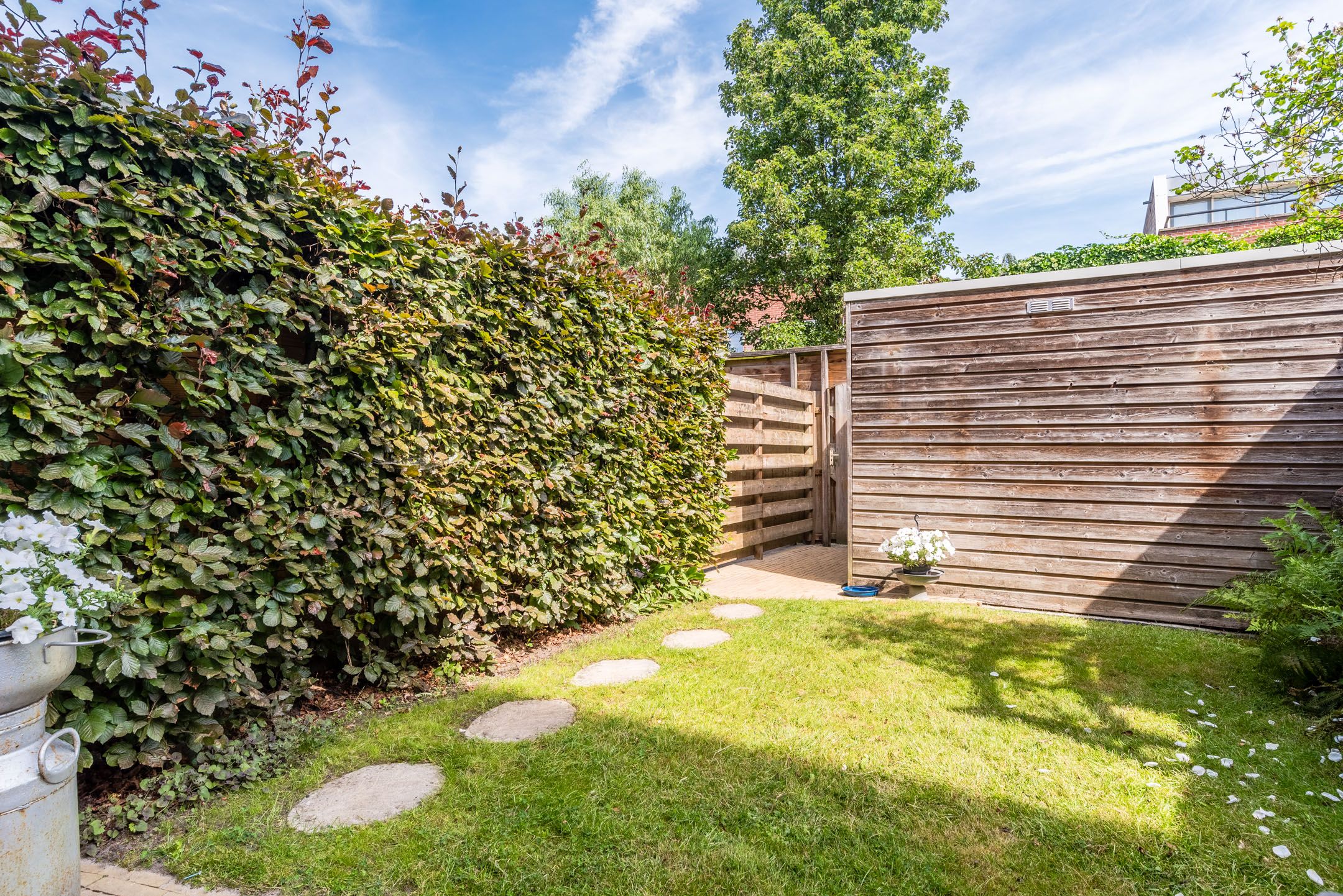 Foto 24 van Galjoen 36