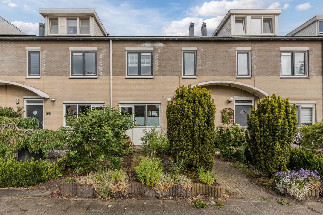 Foto 2 van Zeearend 64