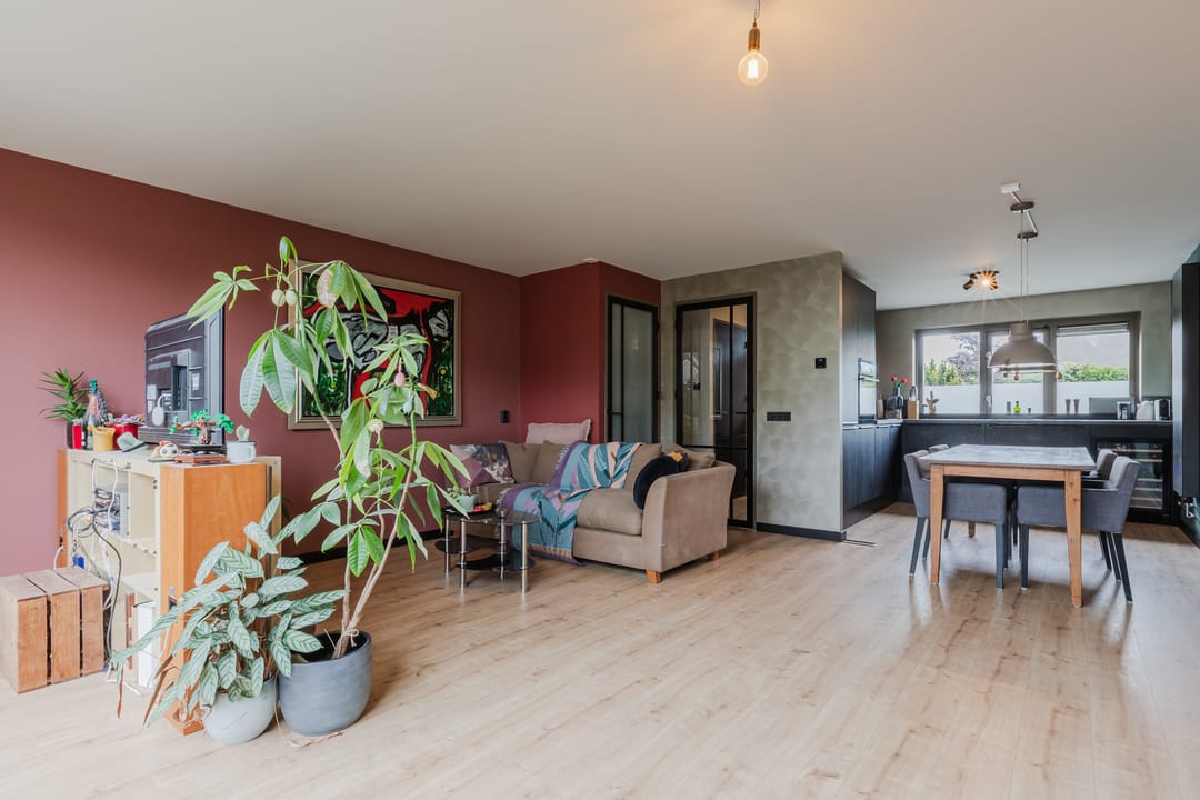 Foto 8 van Zeearend 64