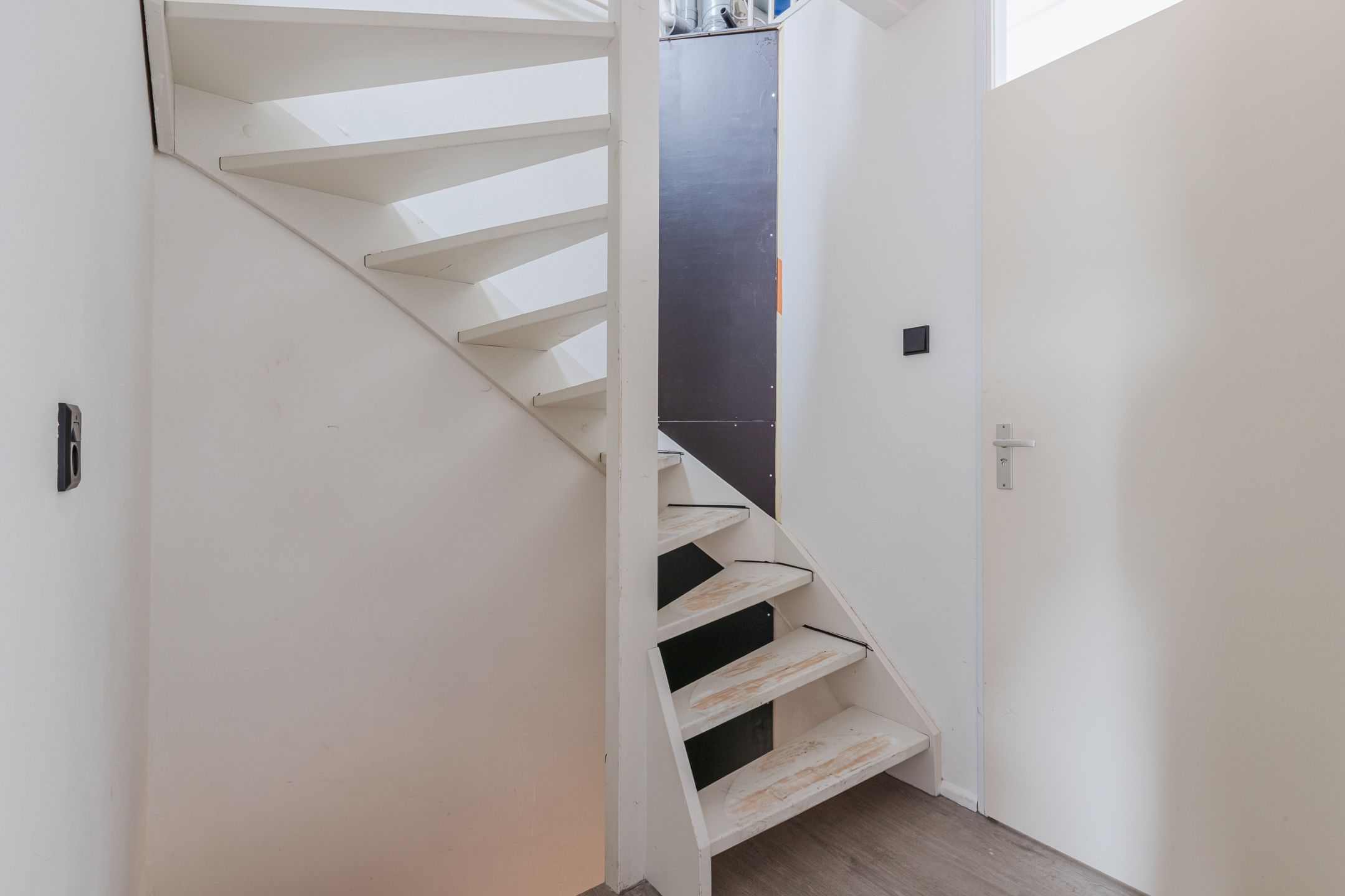 Foto 24 van Zeearend 64