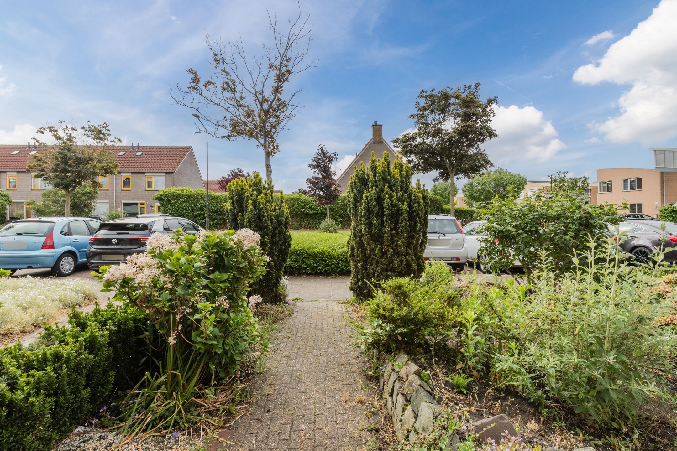 Foto 30 van Zeearend 64