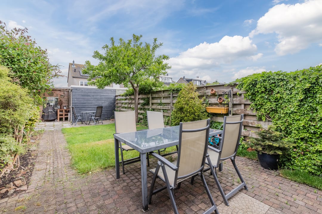 Foto 31 van Zeearend 64