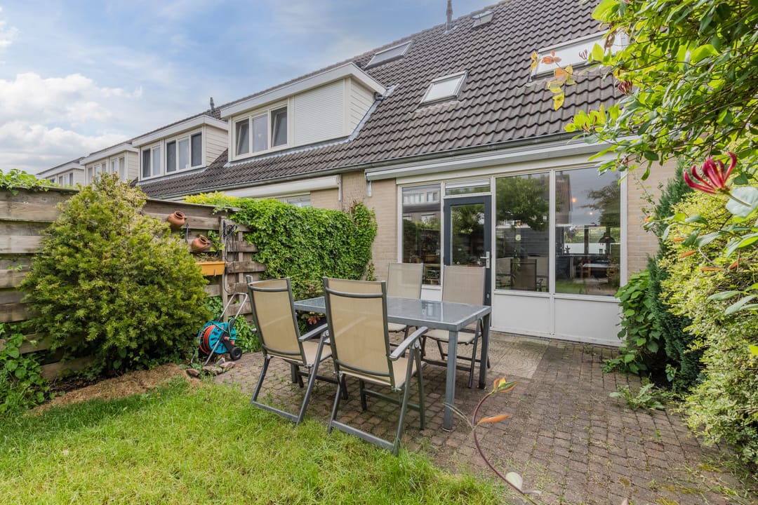 Foto 32 van Zeearend 64