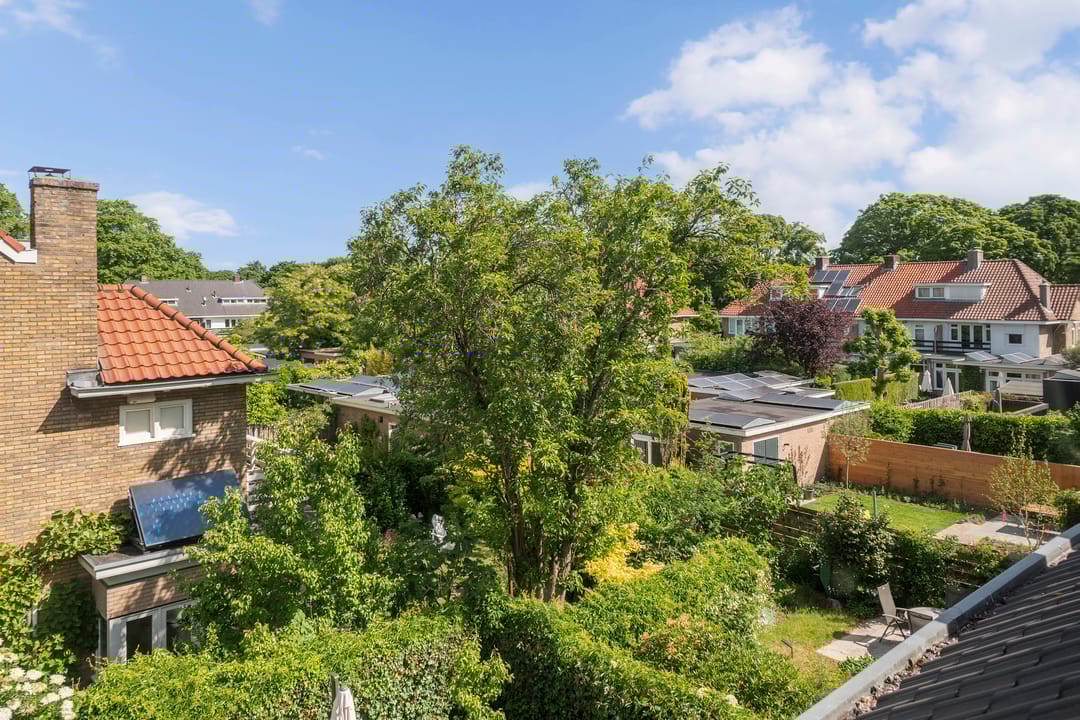 Photo 38 of Jacob Marislaan 58