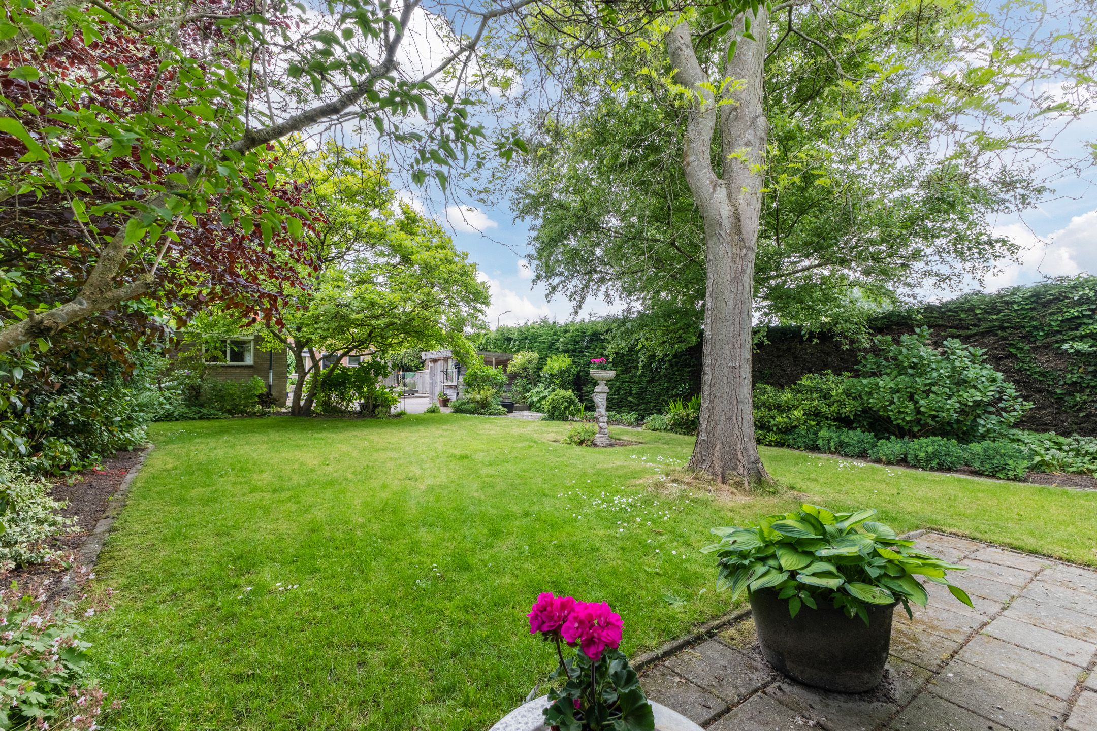 Photo 57 of Middenweg 478-C