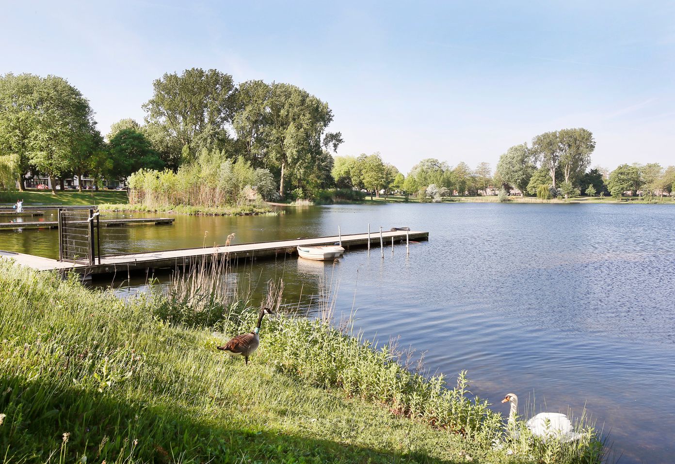 Foto 27 van Aartshertogenlaan 241