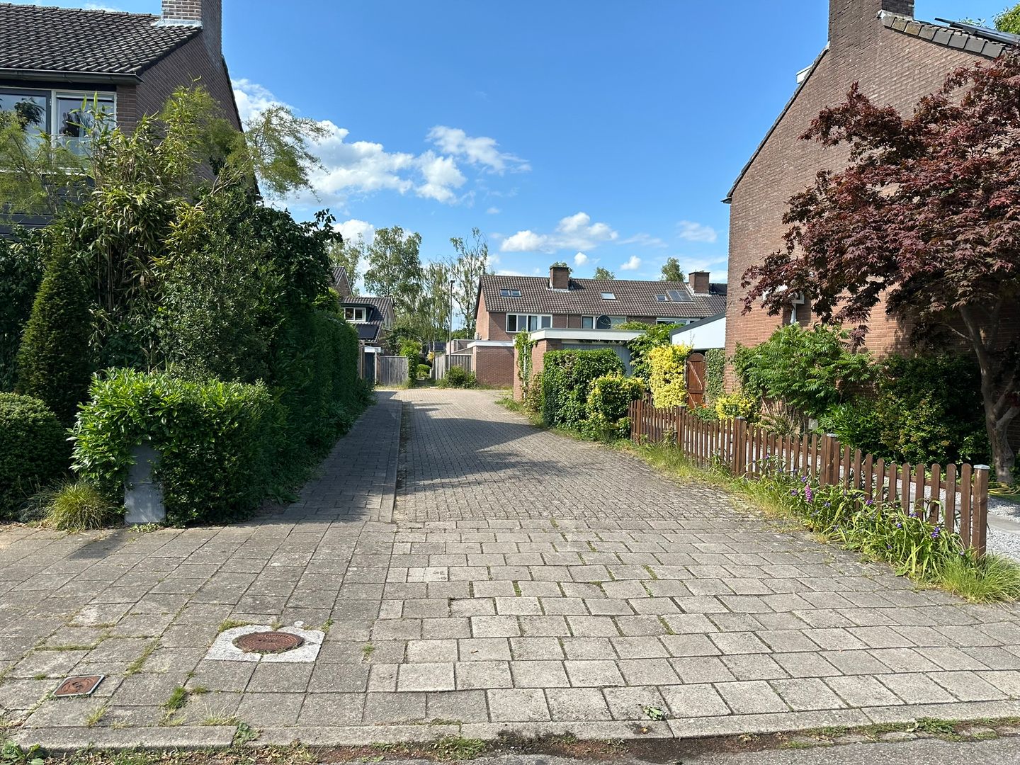 Foto 5 van Willem Pijperlaan 504