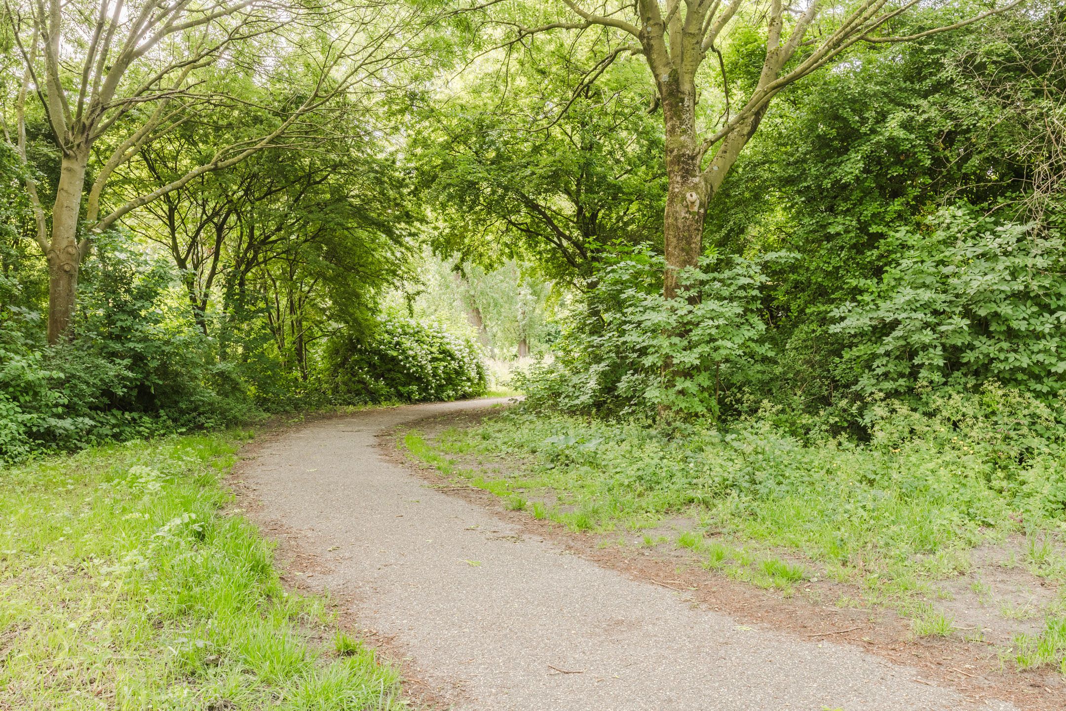 Foto 33 van Pimpelmeesstraat 26