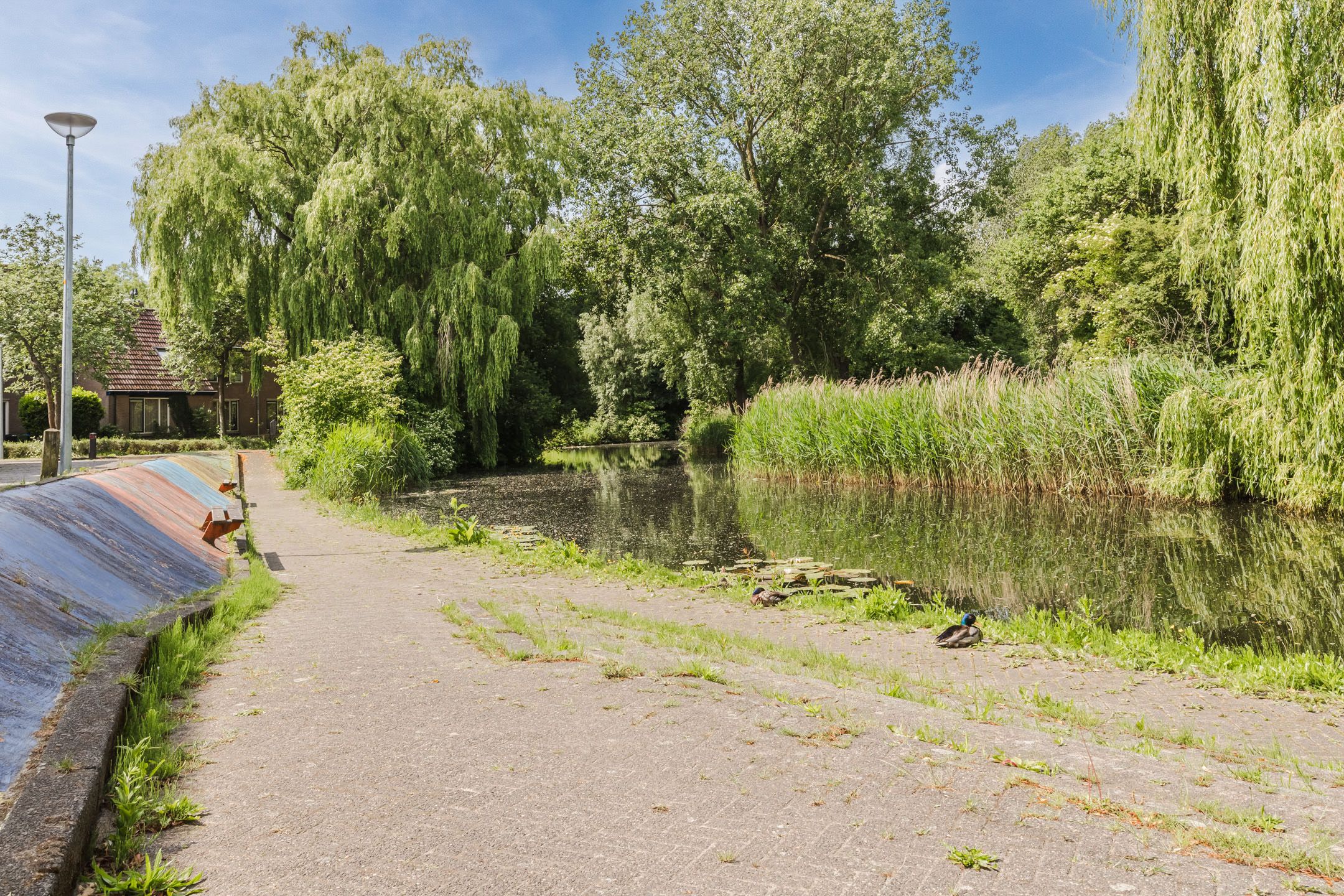 Foto 36 van Pimpelmeesstraat 26