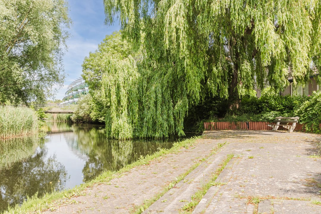 Foto 37 van Pimpelmeesstraat 26