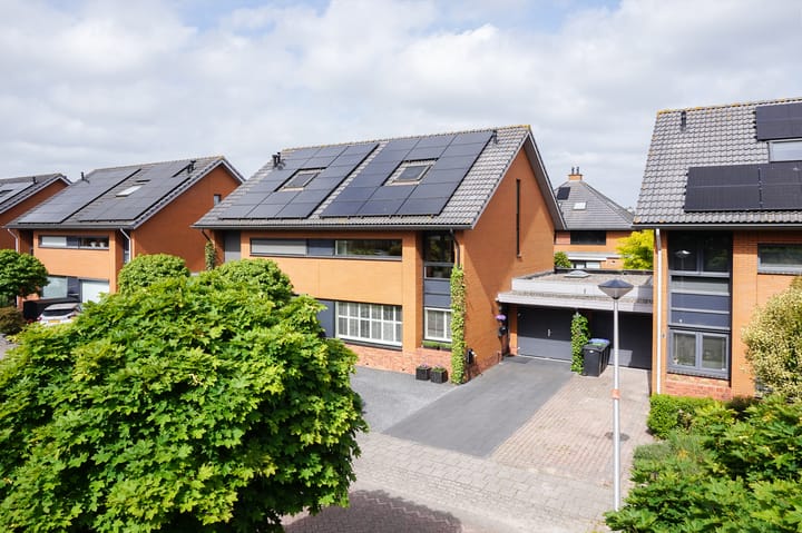 Foto 5 van Struisvaren 9