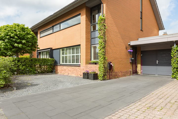 Foto 6 van Struisvaren 9