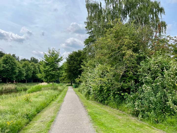 Foto 50 van Sweelinckstraat 16