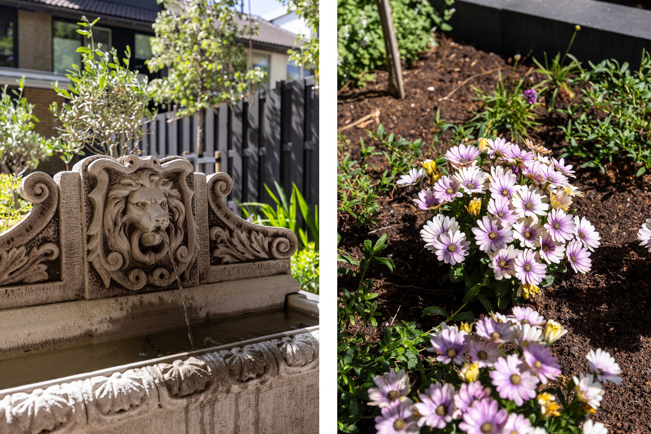 Foto 42 van Fazantenkamp 51