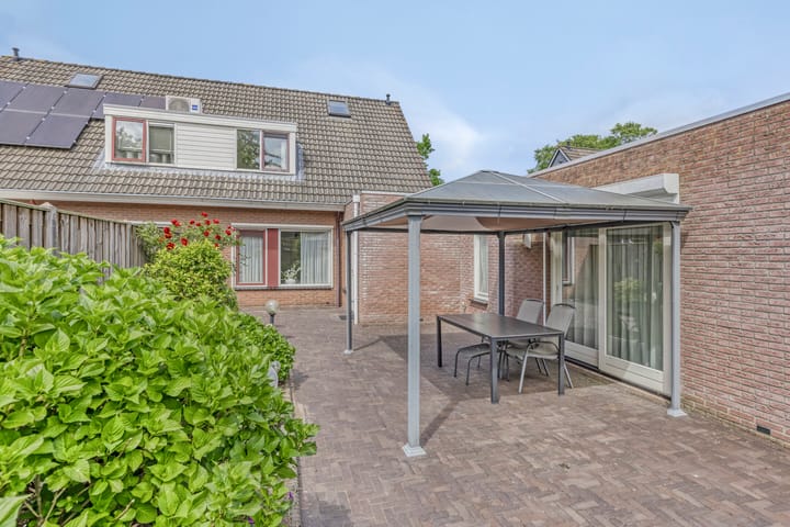 Foto 2 van Meidoorn 4