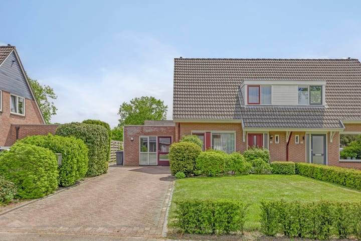 Foto 8 van Meidoorn 4