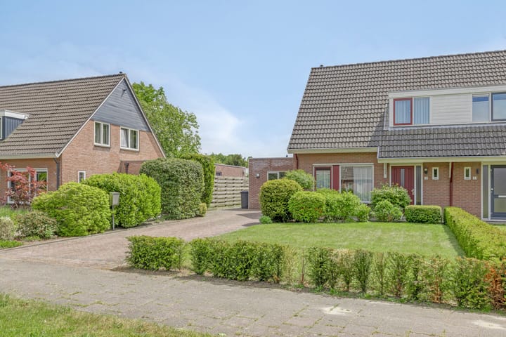 Foto 9 van Meidoorn 4