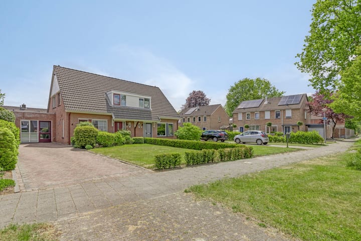 Foto 10 van Meidoorn 4