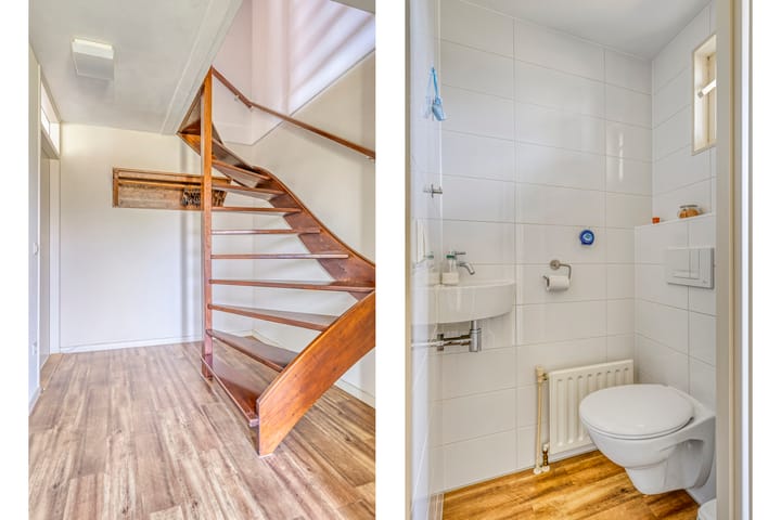 Foto 12 van Meidoorn 4