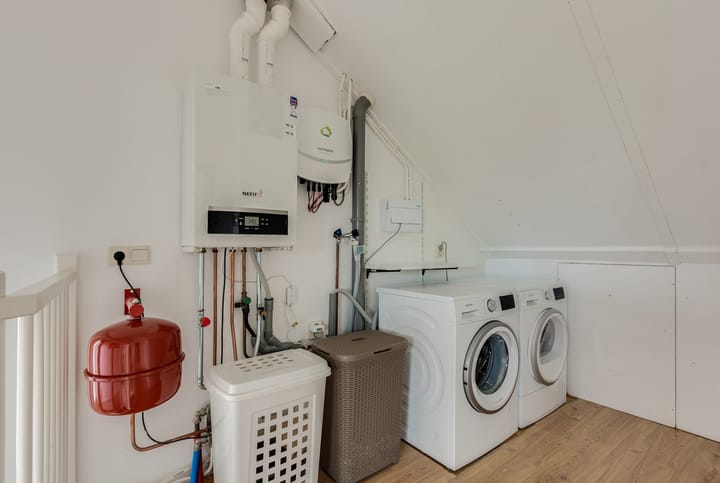 Foto 38 van Struisvaren 9