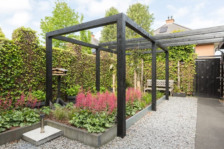 Foto 40 van Struisvaren 9