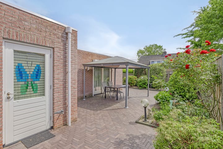 Foto 38 van Meidoorn 4