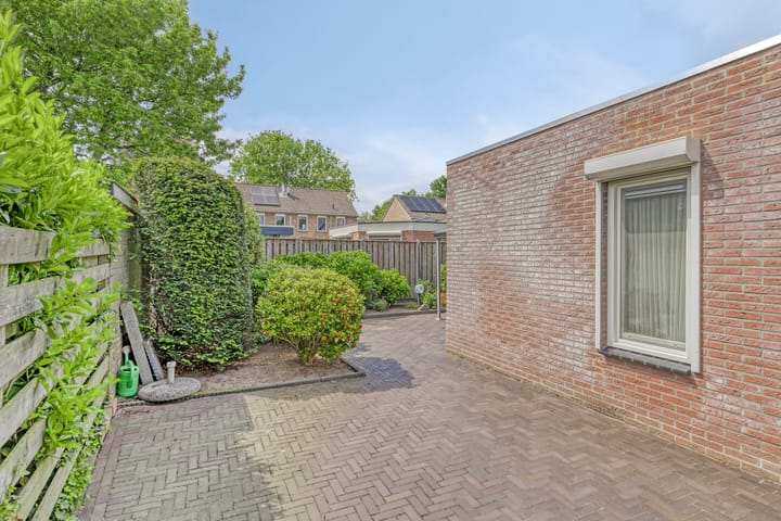 Foto 39 van Meidoorn 4