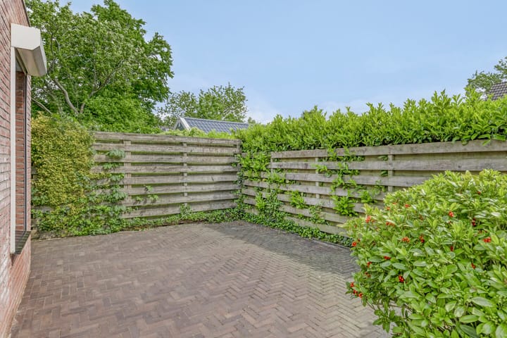 Foto 41 van Meidoorn 4