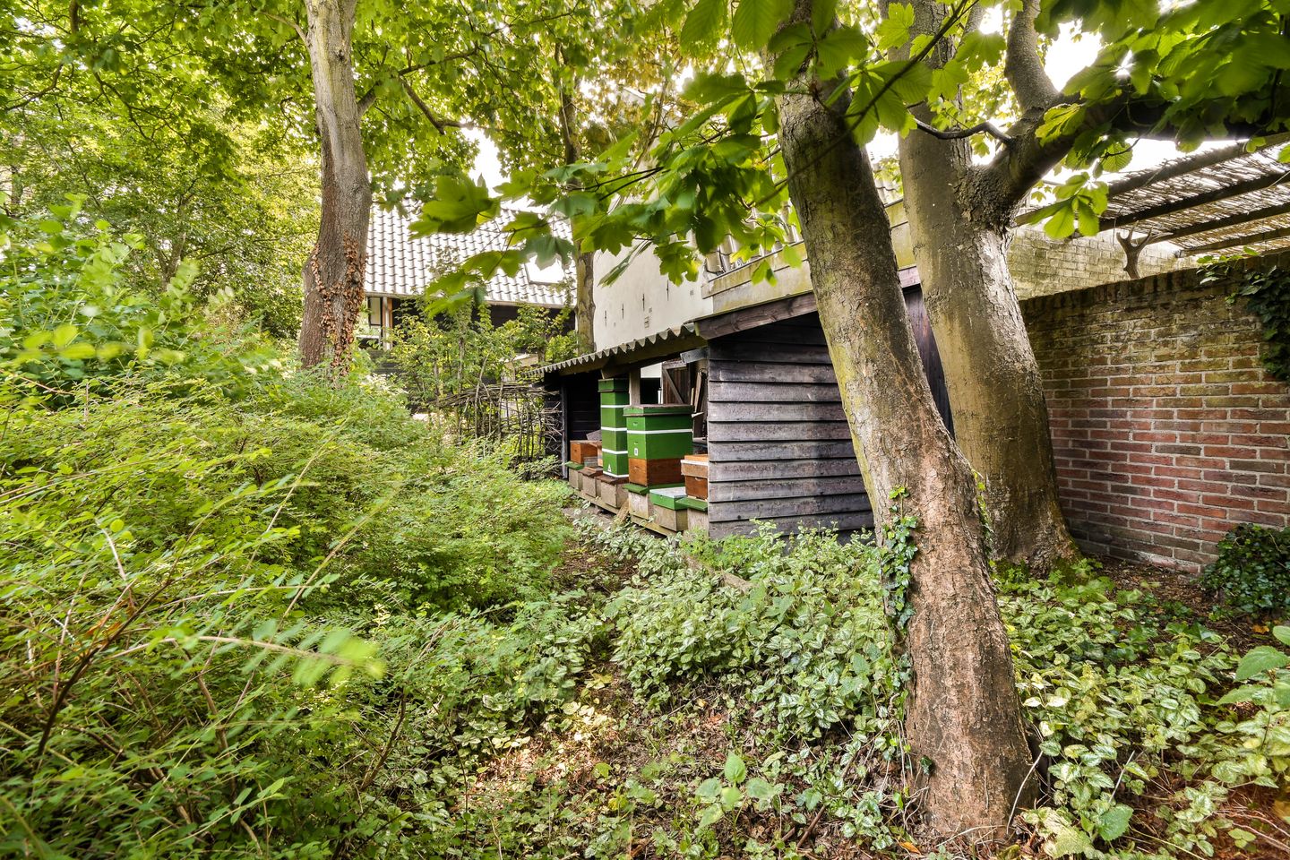 Foto 40 van Kostverlorenstraat 62