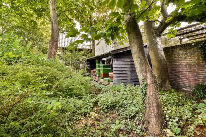 Foto 40 van Kostverlorenstraat 62