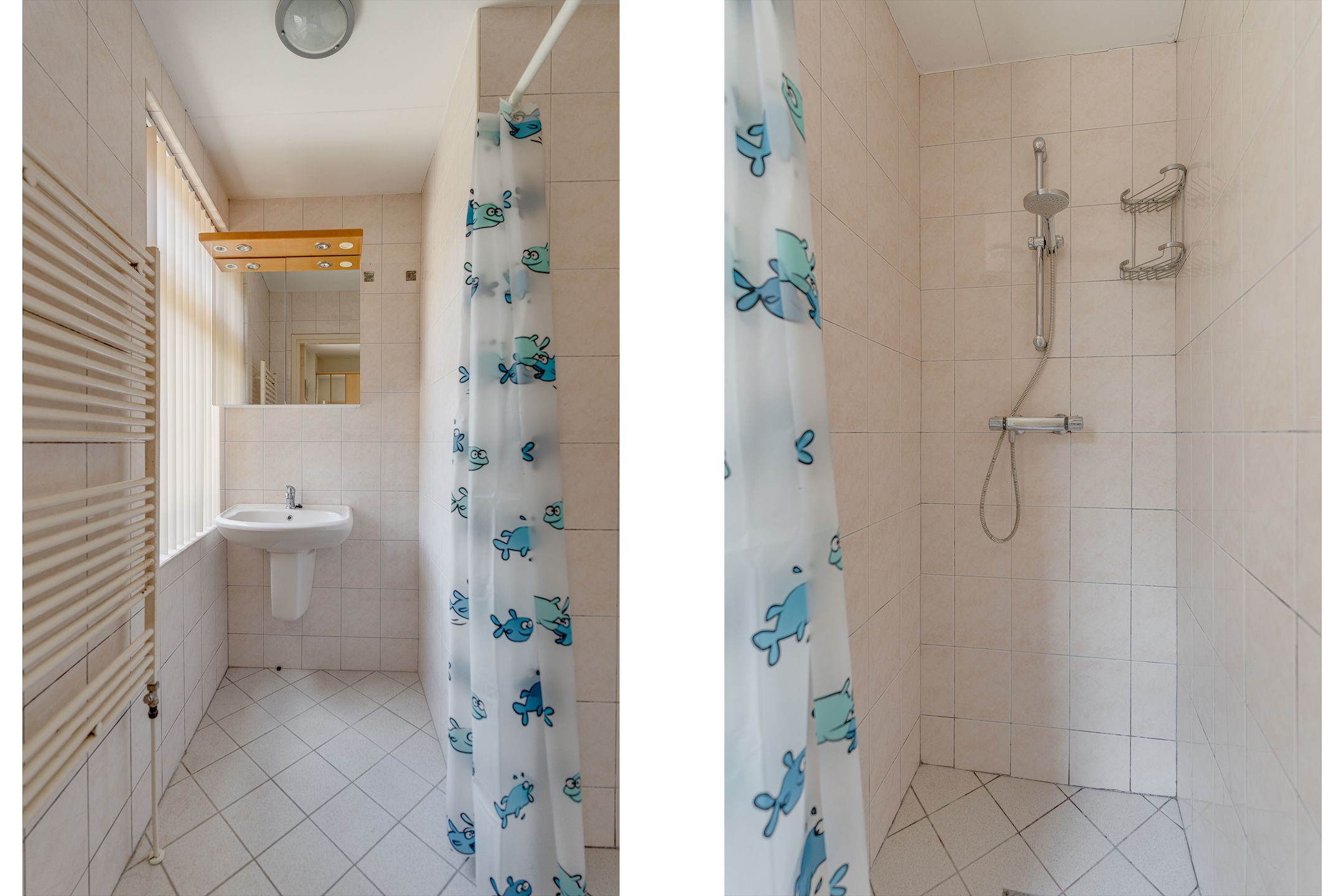 Foto 21 van Biezenweg 11