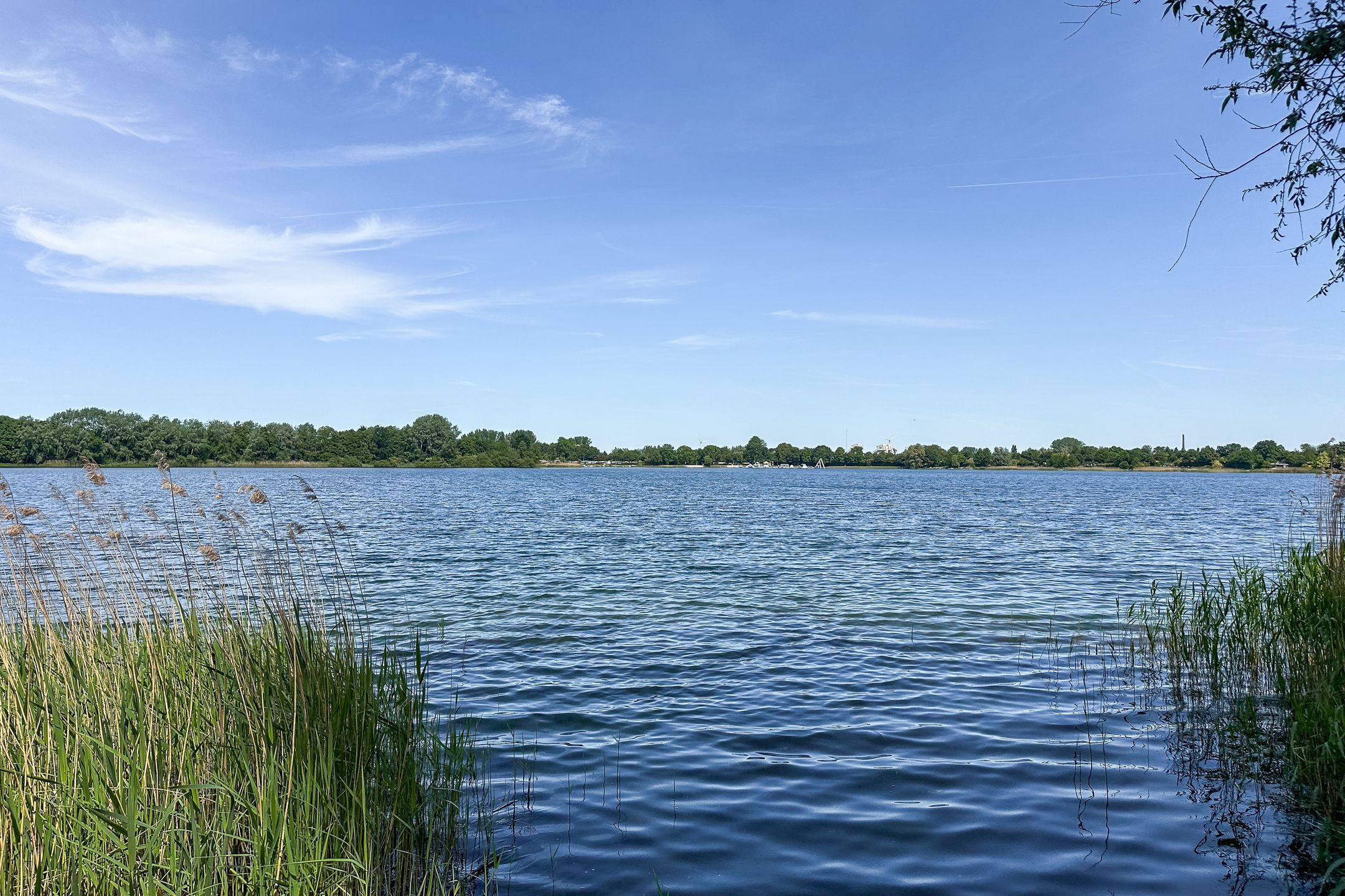 Foto 48 van Biezenweg 11