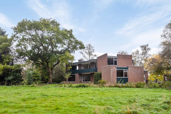undefined main image