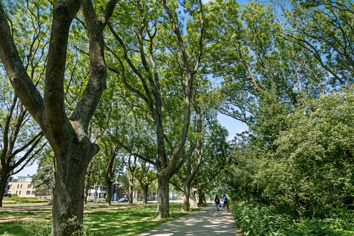 Foto 32 van Jericholaan 24-A