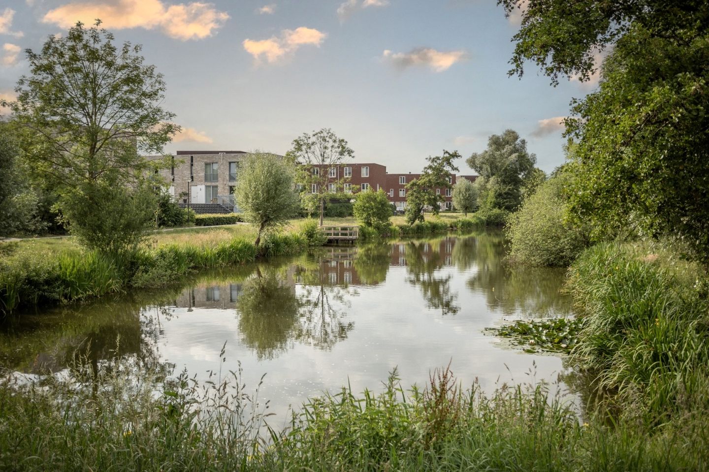 Foto 5 van Hadewychstraat 43