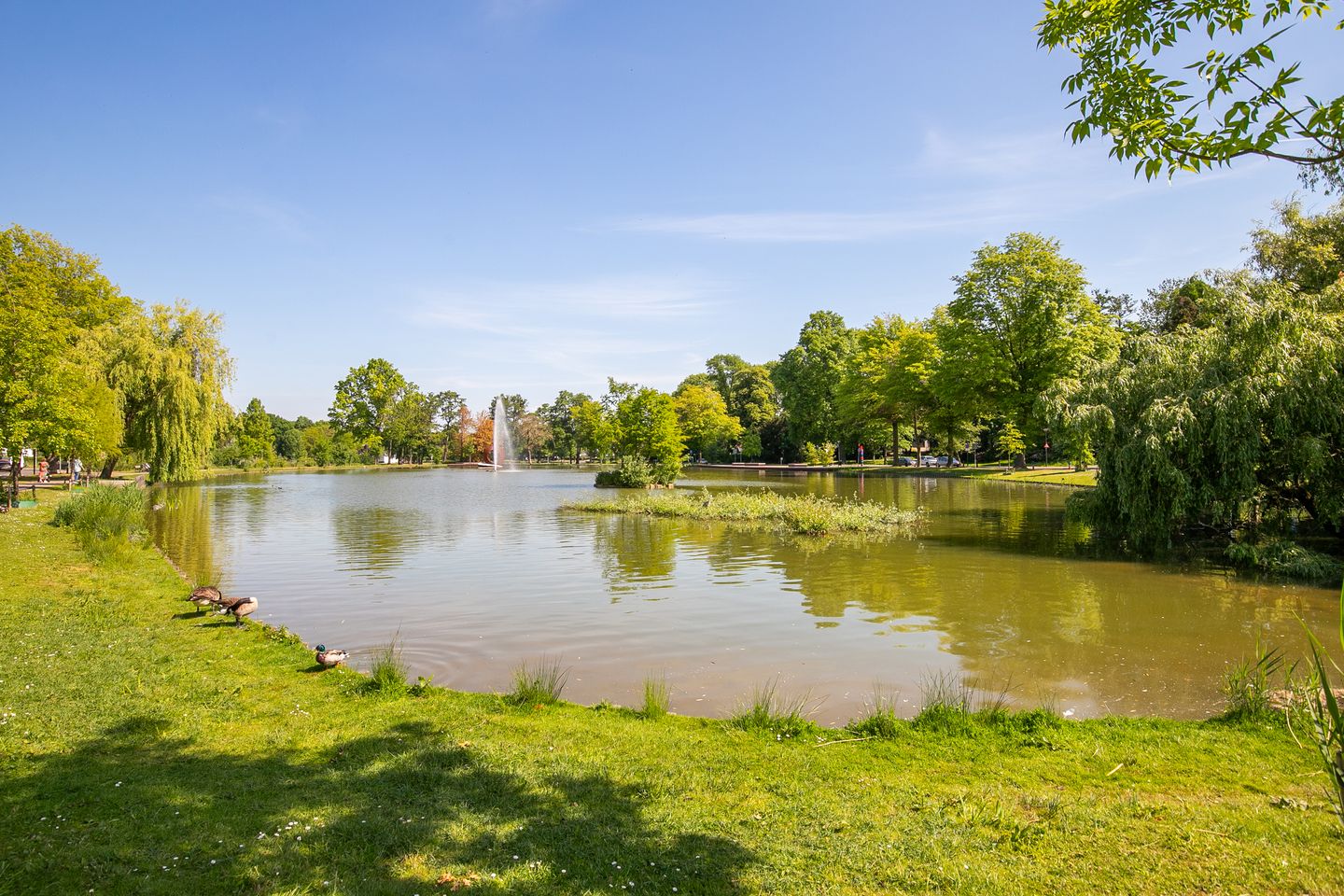 Foto 20 van Vijverweg 114