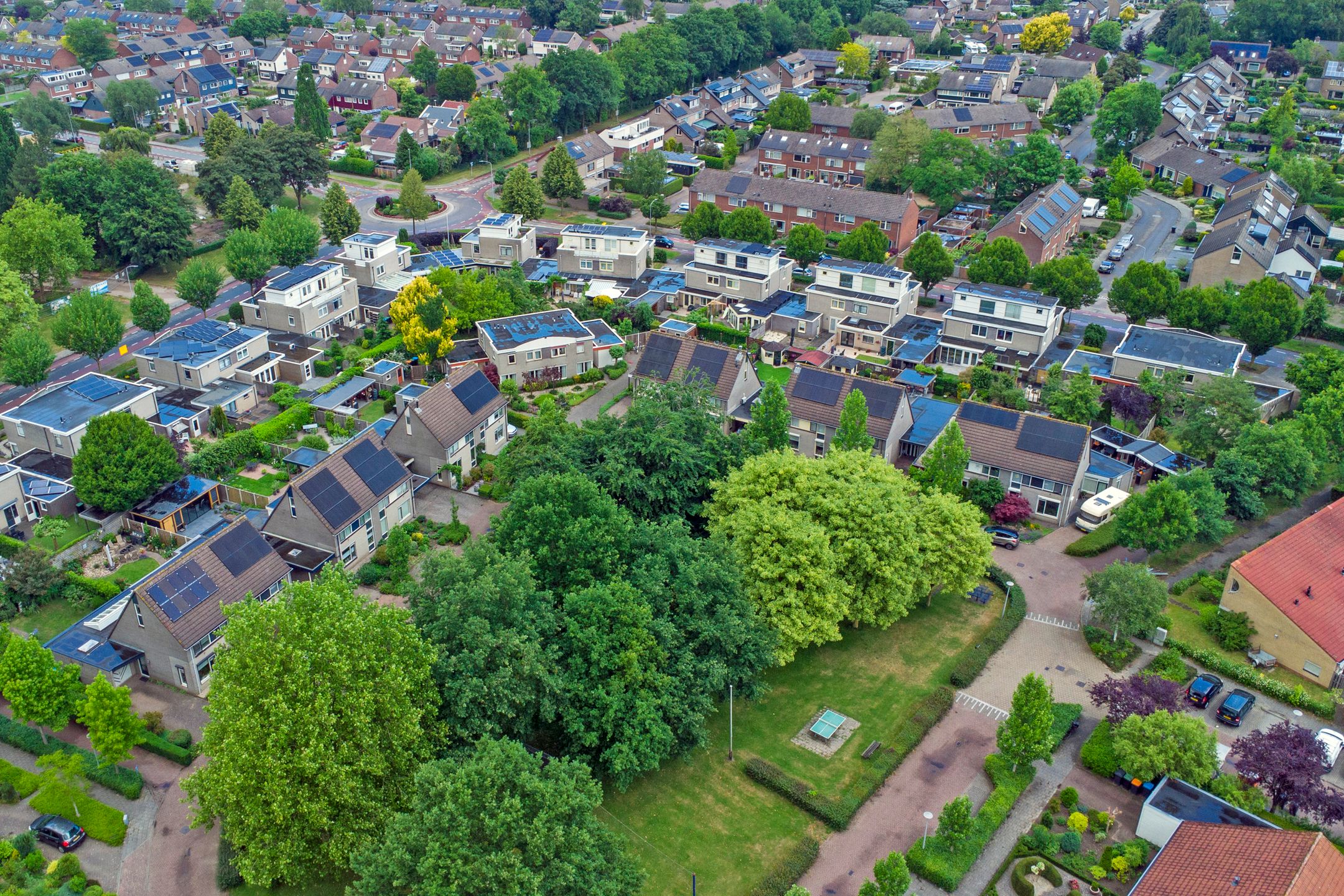 Photo 30 of Mercurius 26