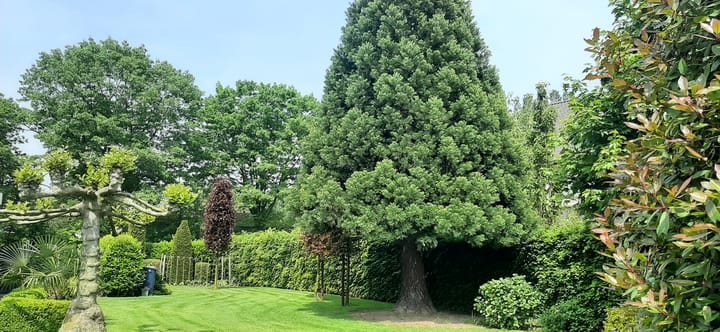 Foto 38 van Afhangweg 10-A