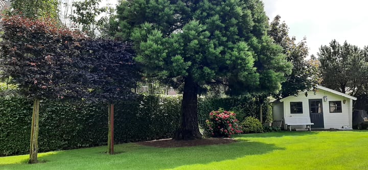 Foto 52 van Afhangweg 10-A