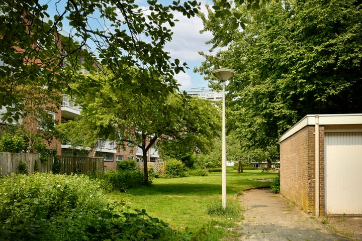 Foto 23 van Wedderborg 125