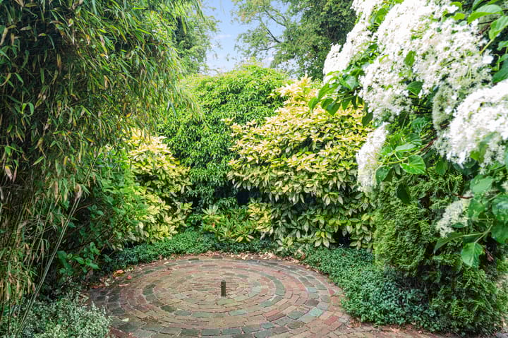 Photo 24 of Schoolstraat 43