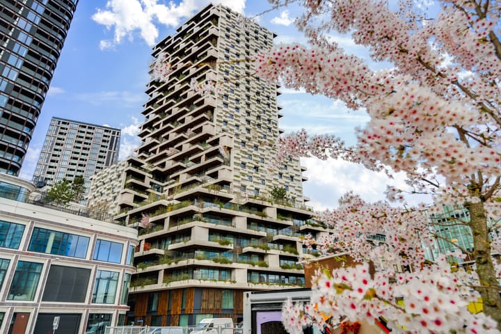 Foto 1 van Hoola van Nootenstraat 353