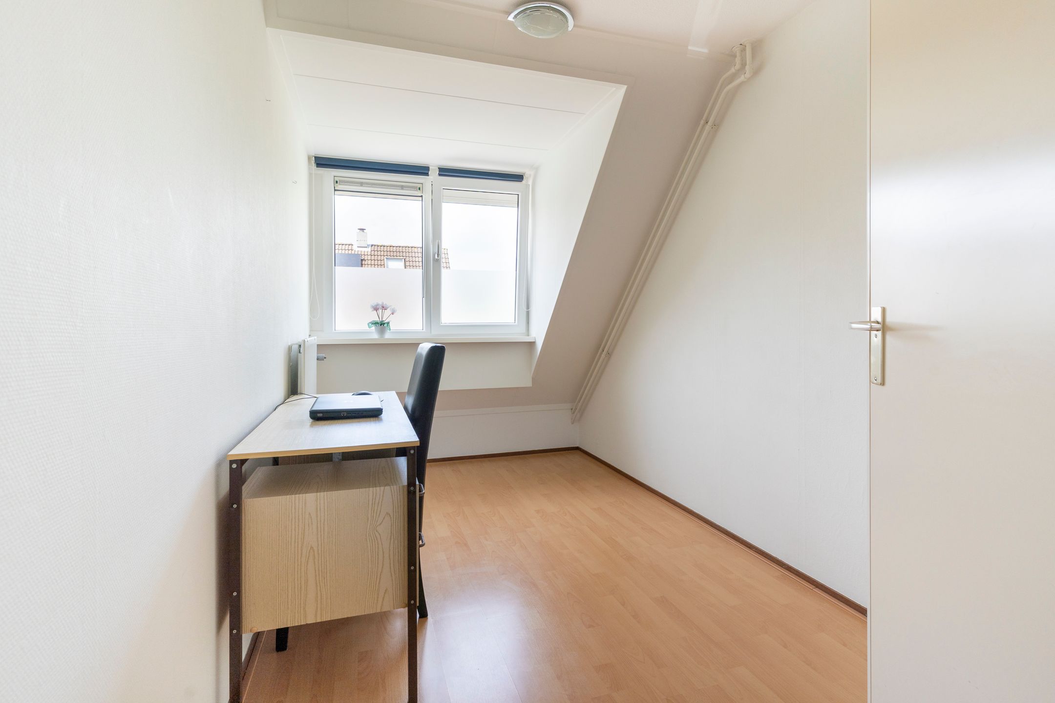 Foto 21 van Snekerveste 4