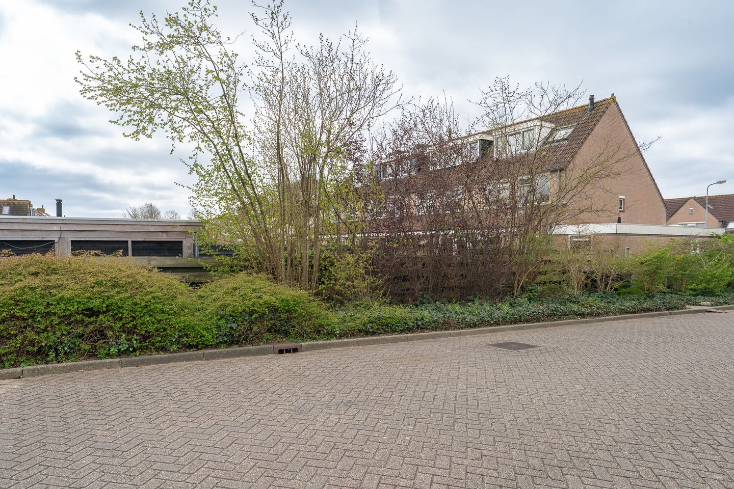 Foto 64 van Galjoen 1